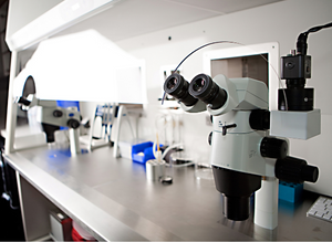 lab equipment