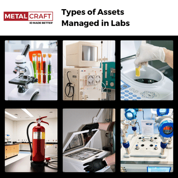 Types of Assets Managed in Labs